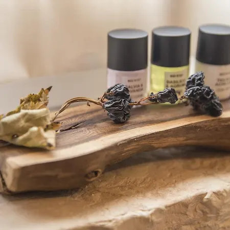 Gasthuis Corte Formigar SantʼAmbrogio di Valpolicella